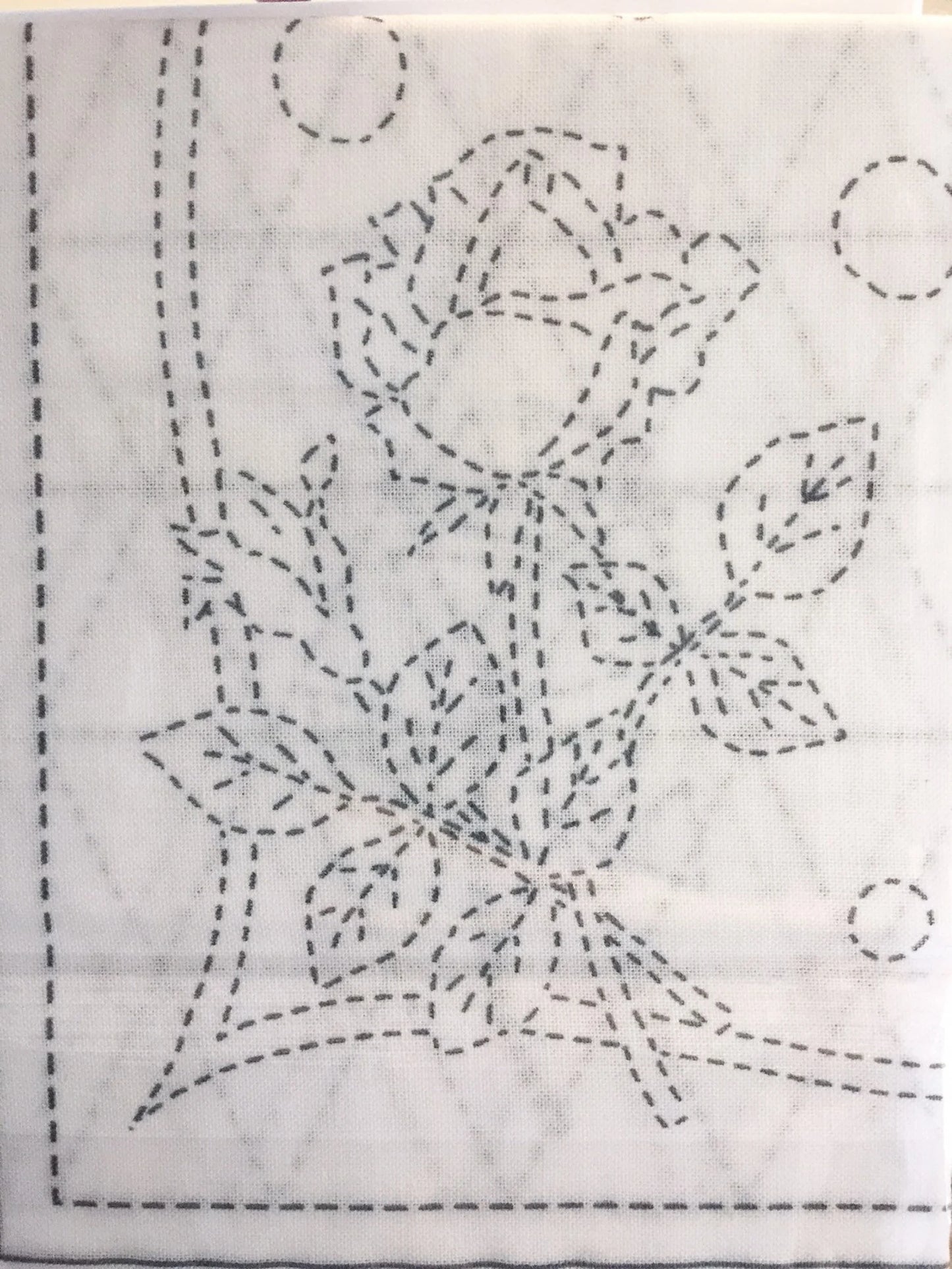 Rose and Uroku Daisy Sampler