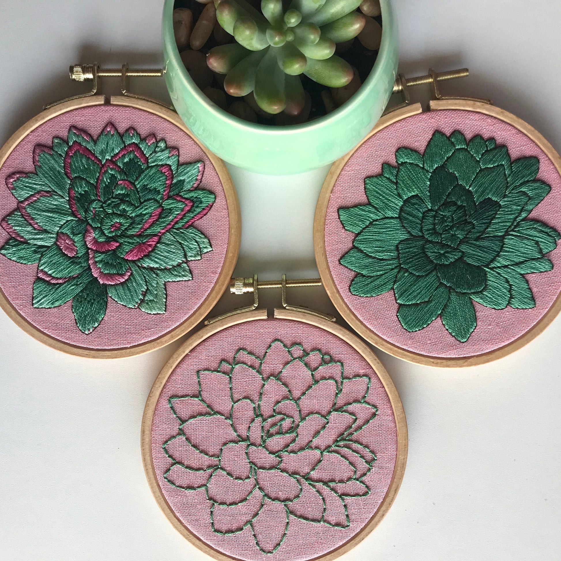 Sweet Succulents PDF features three levels of stitching experience.  From backstitch outline so detailed color work.  You choose your own adventure.   PDF includes pattern for transfer and 13 page booklet with easy to follow directions.