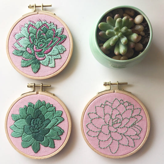Sweet Succulents PDF features three levels of stitching experience.  From backstitch outline so detailed color work.  You choose your own adventure.   PDF includes pattern for transfer and 13 page booklet with easy to follow directions.
