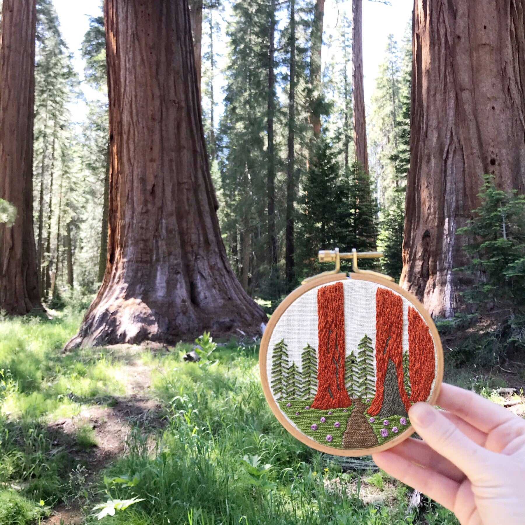 Sequoia Grove PDF. Three tall Sequoias rise from the base of the embroidery with a small trail between them. PDF includes pattern for image transfer and 11 page booklet with easy to follow directions.