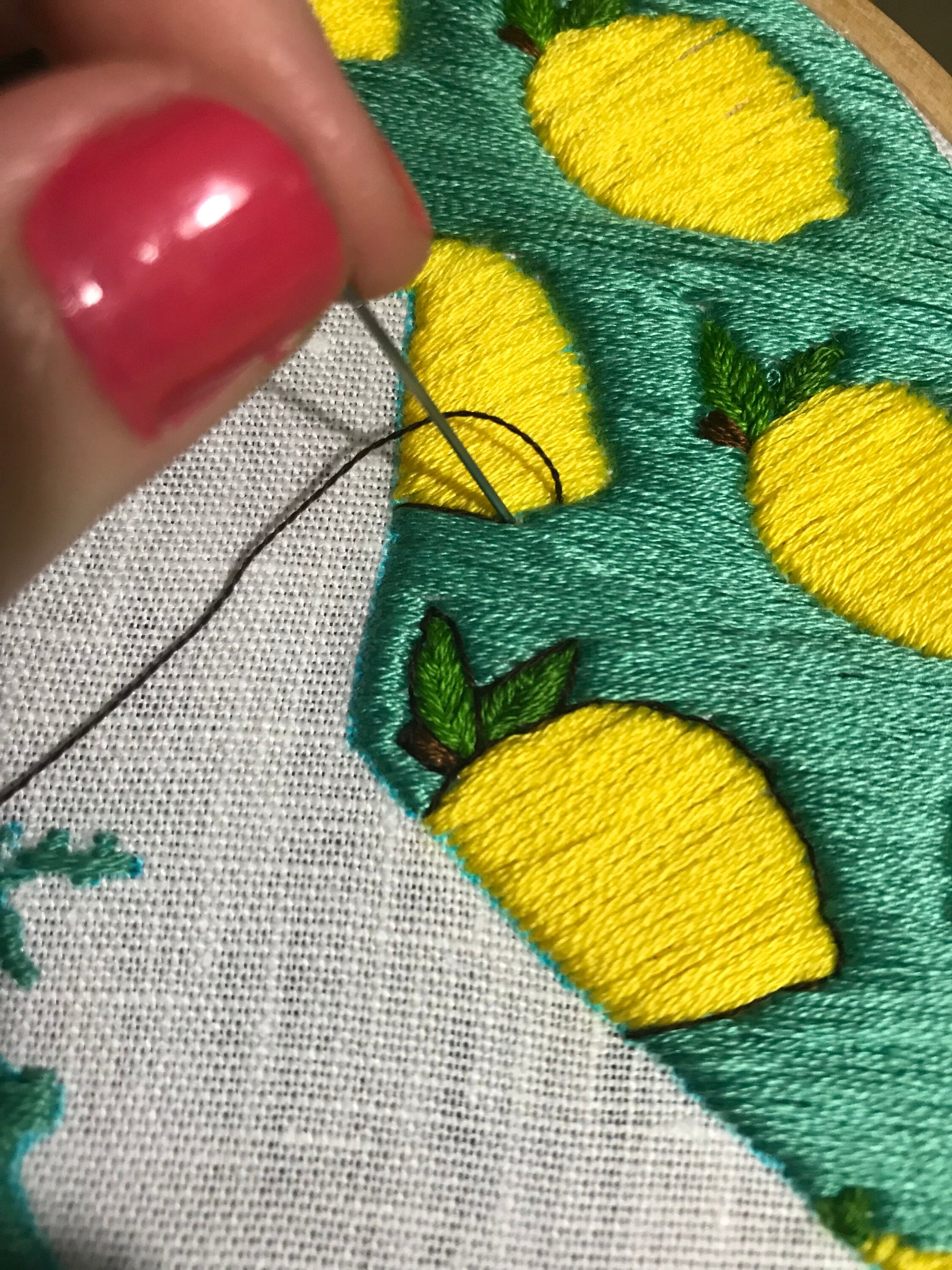 Close up of outline around lemons in California Lemons PDF