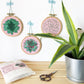 Sweet Succulents: Choose Your Skill Level Embroidery Kit